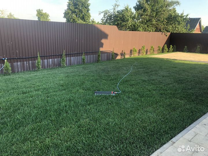 Рулонный газон ландшафтный дизайн посадка растений