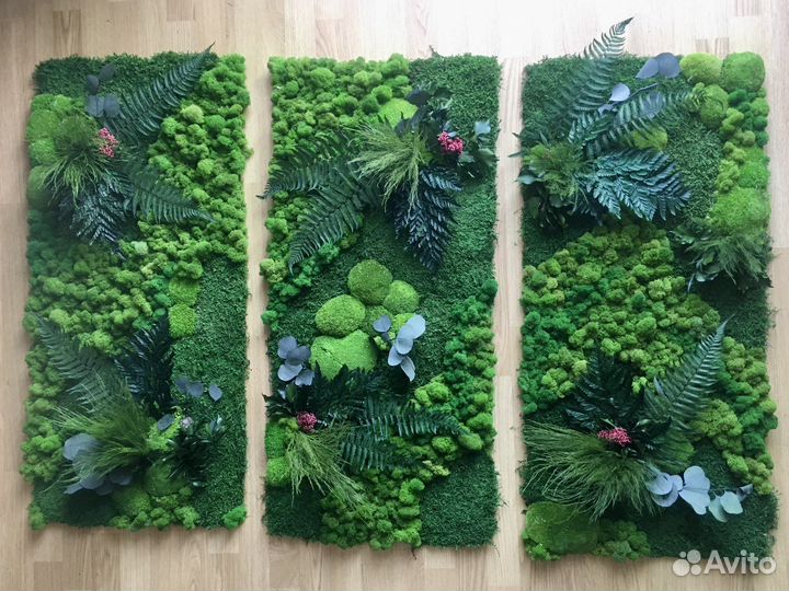 Фитостены из натур.мха и растений, Панно, Панели