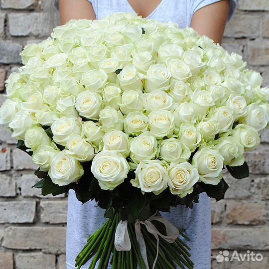 51 роза 101 роза 55 85 65 35 25 21 Букет Доставка