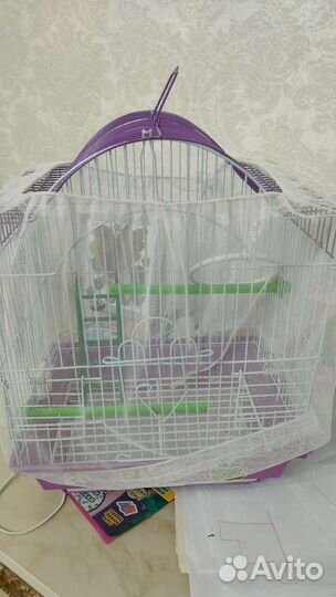 Клетка для попугая