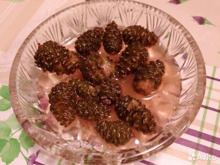 Варенье из сосновых шишек, опт