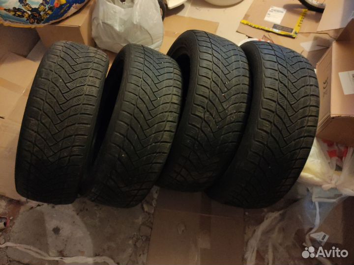 Delinte Winter WD6 205/55 R17 95H