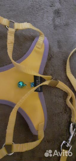 Поводок для животного