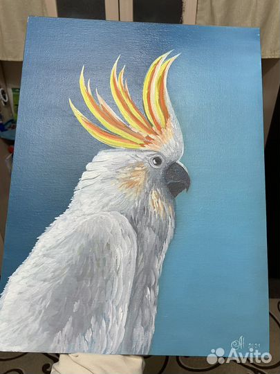 Картина «Попугай»