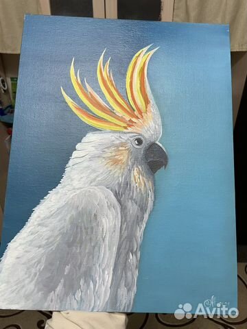 Картина «Попугай»