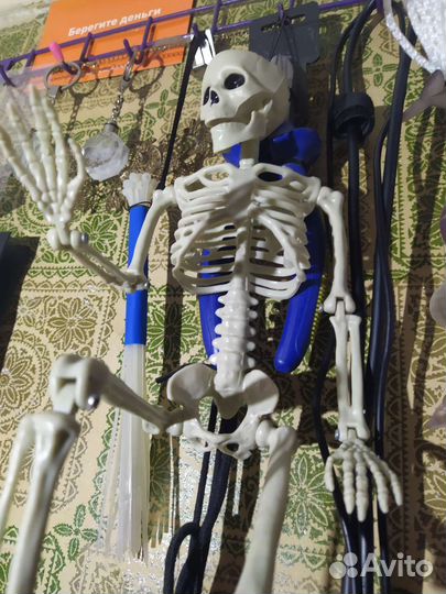 Скелет 43 см. Точная копия