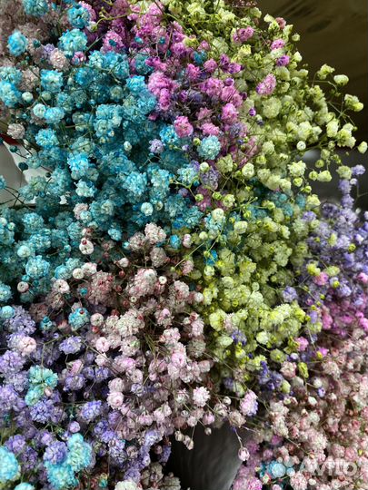 Гипсофила оптом розница букет