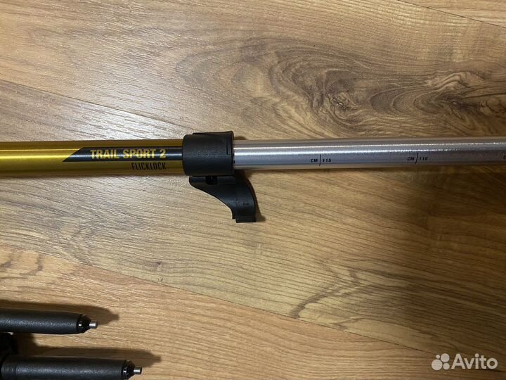 Прокат треккинговых палок Black Diamond