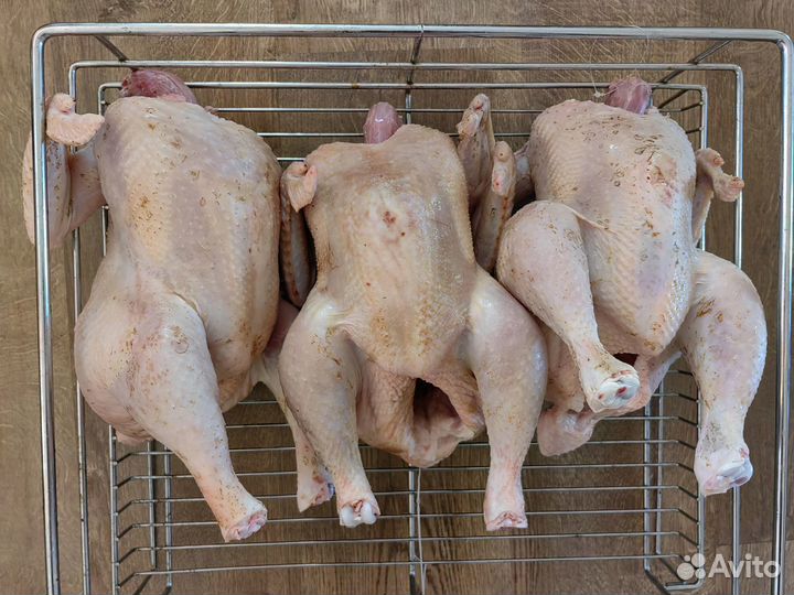 Пельмени вареники блины домашние яйцо куры сметана