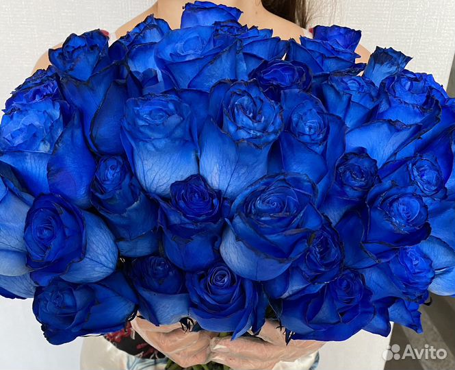 Розы синие