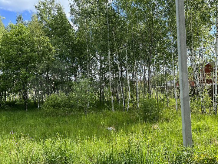 Участок 8 сот. (ИЖС)