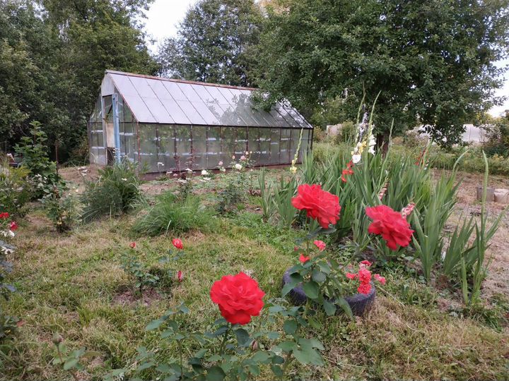 Участок 4,6 сот. (СНТ, ДНП)