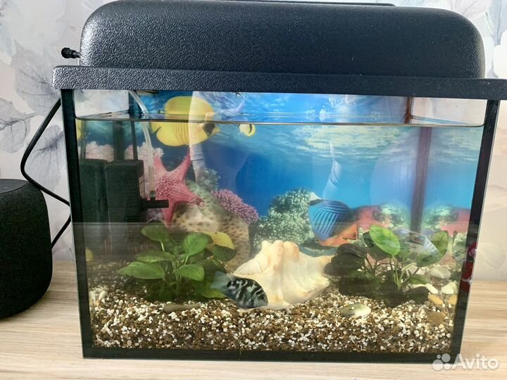 Аквариум 15 литров