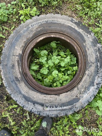 Резина на камаз 10 р 20