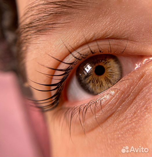 2в1 курс обучение на Бровиста и Ламинирование ресн