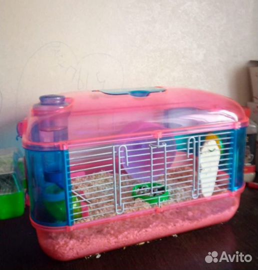 Хомяк с клеткой