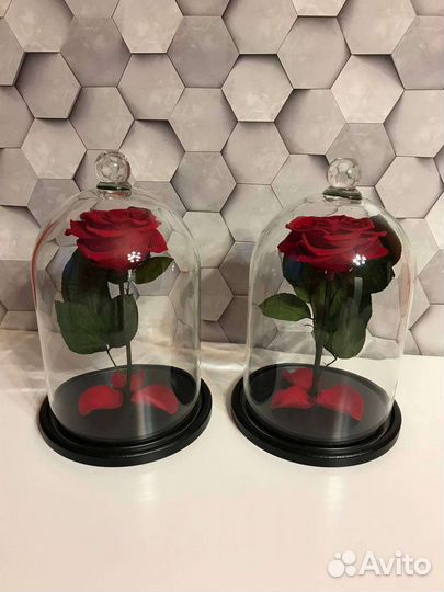 Роза в колбе