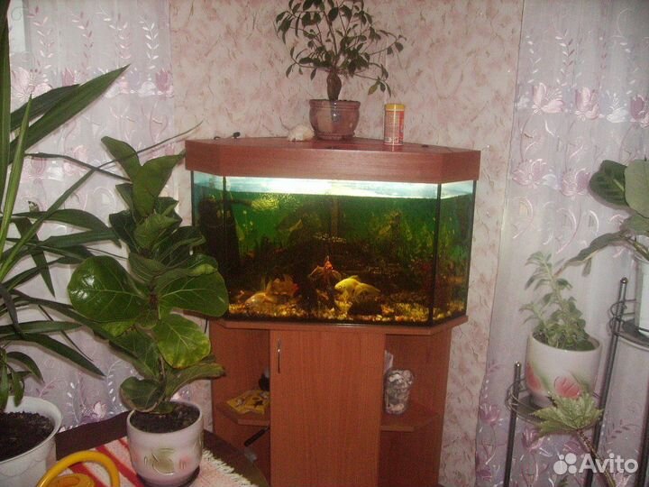 Аквариум с тумбой угловой