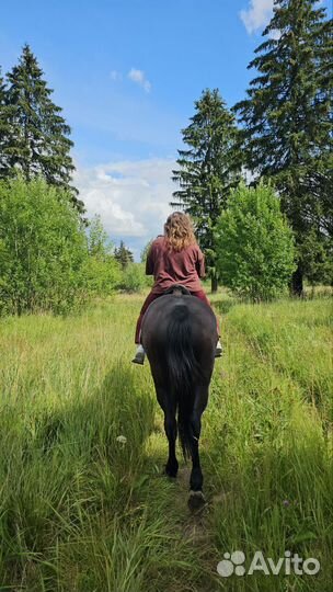 Прогулки на лошадях