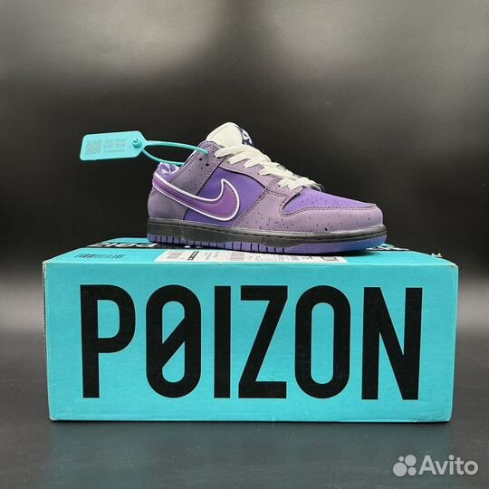 Кроссовки Nike sb dunk low purple lobster