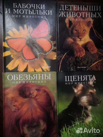 Серия книг Мир животных, Тайная жизнь животных