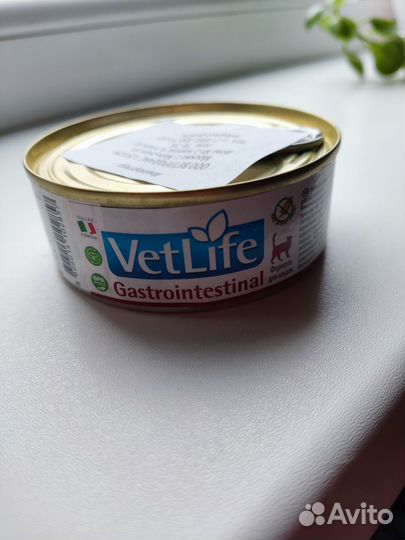 Паштет для кошек