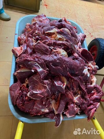 Мясо говядина для собак. Мясо без кости объявление продам