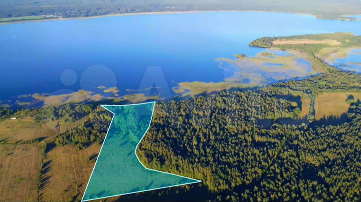 Участок 5,5 га (СНТ, ДНП)