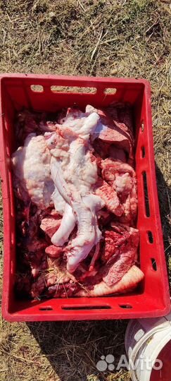 Говяжьи обрези для собак