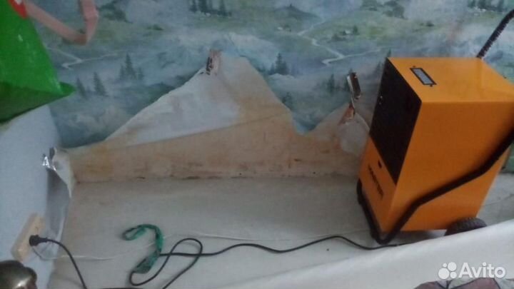 Арeндa осушителя воздуха. Оперативная доставка