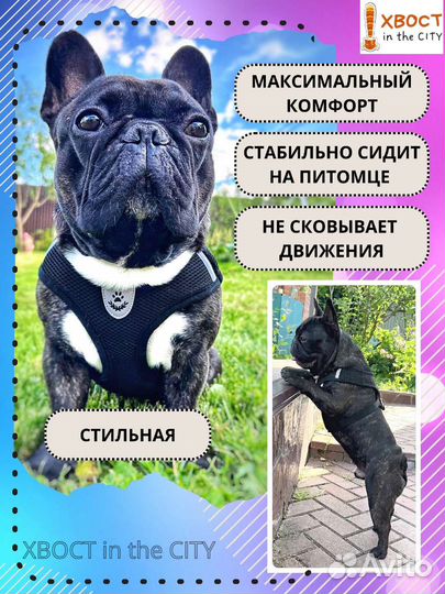 Готовый бизес на вб озон. Шлейки для собак и кошек