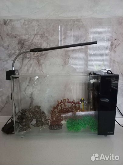 Аквариум