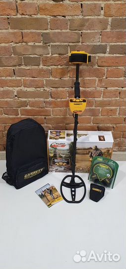 Металлоискатель грунтовый Garrett ACE euro