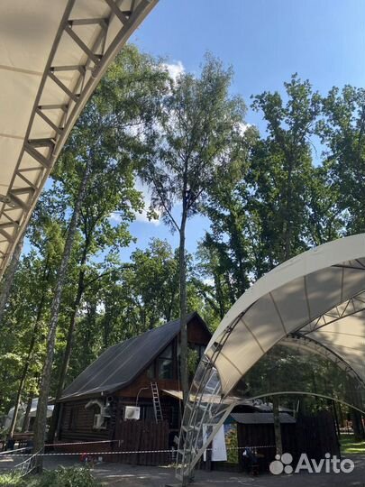 Спил деревьев, удаление, аварийные, сухие