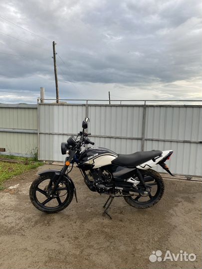 Racer Tiger 150-23
