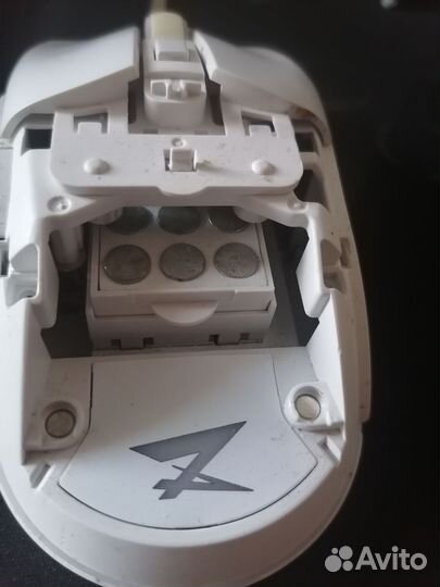 Zet gaming immortality