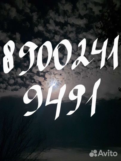 Домашние поросята