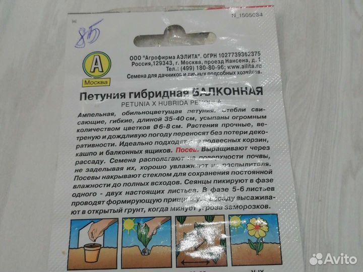 Петуния ампельная рассада