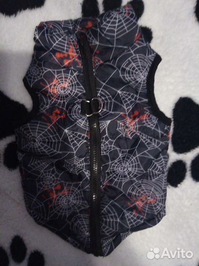 Одежда для животных