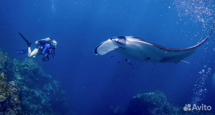 Путевка в Таиланд на 9 ночей от. 3-4* завтраки