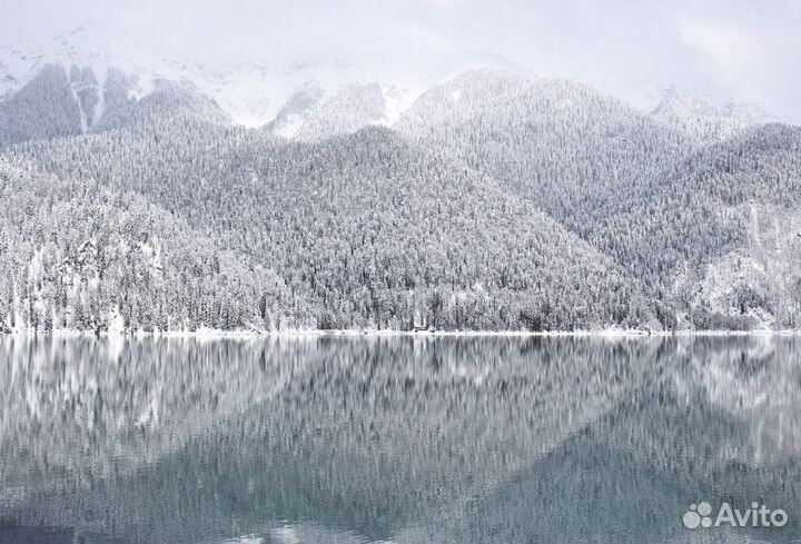 Экскурсии в Абхазию