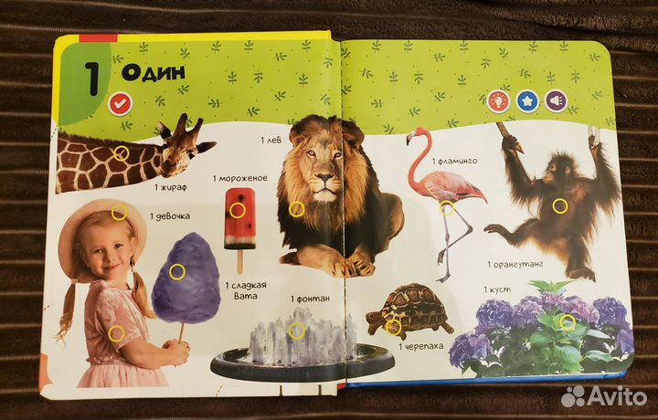 Книжка нажималка 