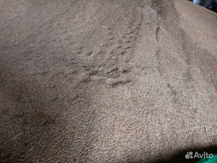 Зерно пшеница,ячмень, овес