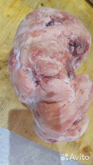 Мясо и кости для собак