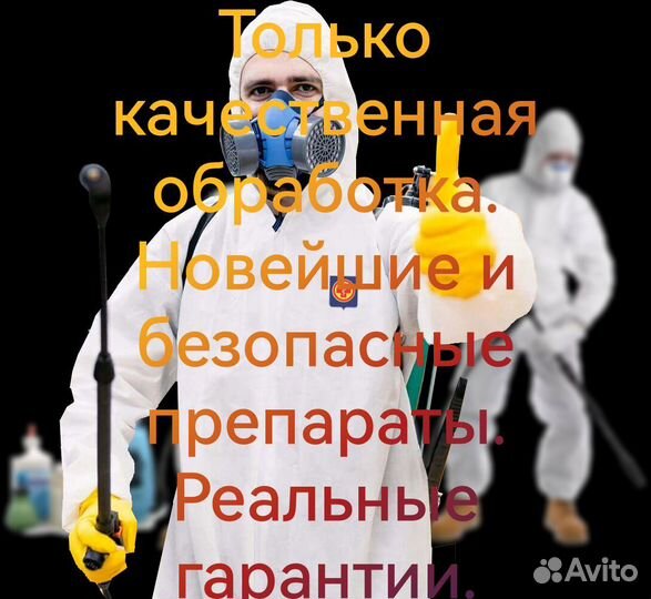 Дезинфекция. Обработка от блох, клопов, тараканов