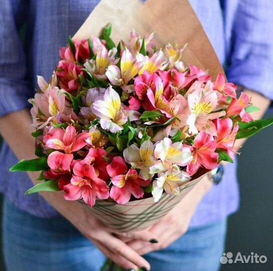 Букет Цветы Альстромерия