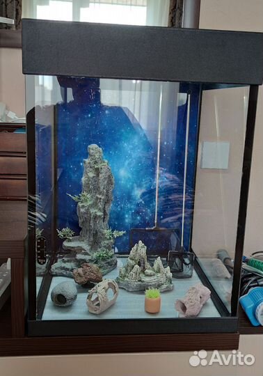 Аквариум