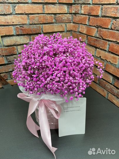 Гипсофила в коробке