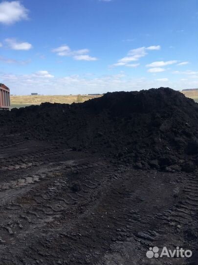 Земля, торф, чернозём, перегной (конский, говяжий)