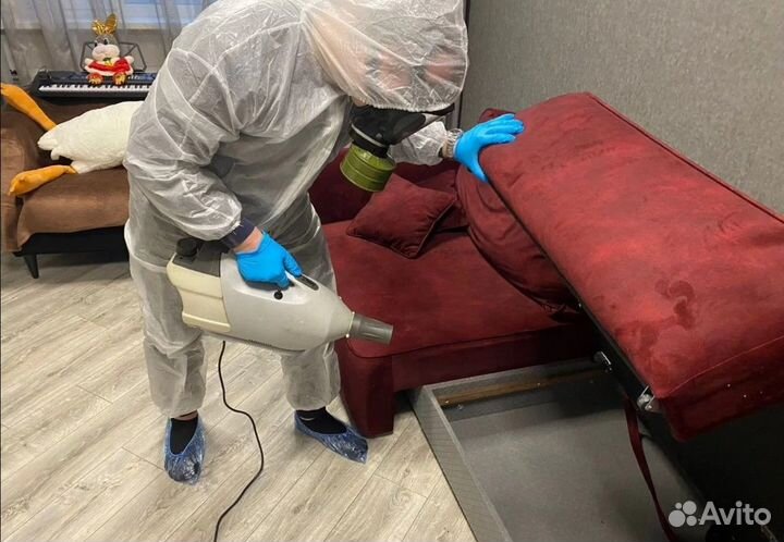 Уничтожение клопов тараканов, Демеркуризация ртути